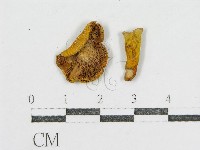 登錄號:F0012465藏品圖，第3張
