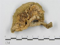登錄號:F0012467藏品圖，第1張
