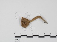登錄號:F0012468藏品圖，第3張