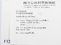 登錄號:F0012469藏品圖，第2張