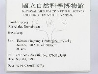 紅菇屬藏品圖，第2張