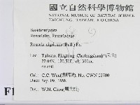 登錄號:F0012471藏品圖，第2張