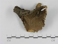 登錄號:F0012471藏品圖，第3張