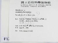 登錄號:F0012472藏品圖，第2張