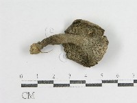登錄號:F0012472藏品圖，第1張