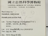 登錄號:F0012474藏品圖，第2張