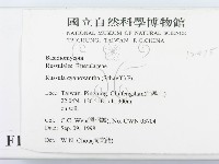 登錄號:F0012475藏品圖，第2張