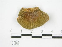登錄號:F0012475藏品圖，第4張