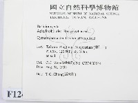 登錄號:F0012476藏品圖，第2張