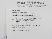 登錄號:F0012478藏品圖，第2張