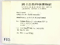 登錄號:F0012480藏品圖，第2張