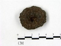 登錄號:F0012480藏品圖，第1張