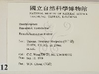 登錄號:F0012482藏品圖，第2張