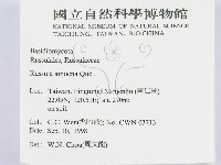 登錄號:F0012483藏品圖，第2張