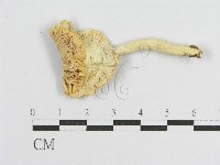 登錄號:F0012484藏品圖，第3張