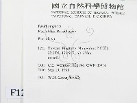 紅菇屬藏品圖，第2張