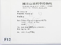 紅菇屬藏品圖，第2張