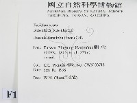 登錄號:F0012487藏品圖，第2張