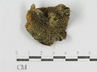 登錄號:F0012487藏品圖，第3張
