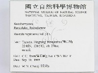 登錄號:F0012488藏品圖，第2張