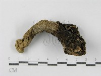 登錄號:F0012488藏品圖，第3張