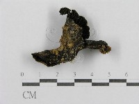 登錄號:F0012489藏品圖，第1張