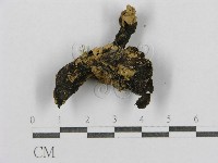 登錄號:F0012489藏品圖，第3張