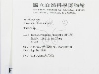 紅菇屬藏品圖，第2張