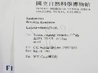 登錄號:F0012491藏品圖，第2張