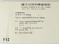 登錄號:F0012492藏品圖，第2張