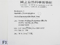 登錄號:F0012496藏品圖，第2張