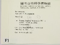 小菇屬藏品圖，第2張