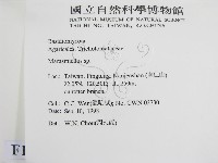微皮傘屬藏品圖，第2張