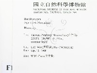登錄號:F0012501藏品圖，第2張