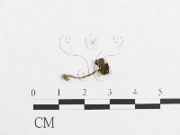 登錄號:F0012501藏品圖，第3張