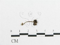 登錄號:F0012501藏品圖，第4張