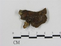 登錄號:F0012503藏品圖，第1張