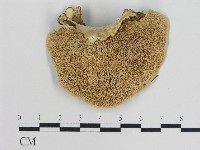 登錄號:F0012507藏品圖，第1張