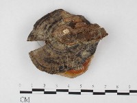 登錄號:F0012508藏品圖，第4張
