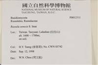 登錄號:F0012511藏品圖，第5張