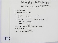 乳菇屬藏品圖，第2張