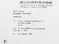紅菇屬藏品圖，第2張