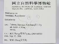 乳菇屬藏品圖，第2張