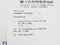 登錄號:F0012520藏品圖，第2張