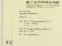 登錄號:F0012521藏品圖，第2張