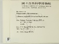 登錄號:F0012523藏品圖，第2張