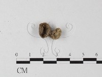 登錄號:F0012523藏品圖，第1張