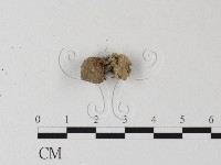登錄號:F0012523藏品圖，第3張
