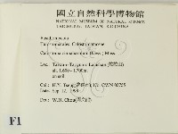 登錄號:F0012524藏品圖，第2張