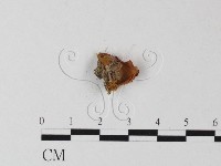 登錄號:F0012524藏品圖，第1張